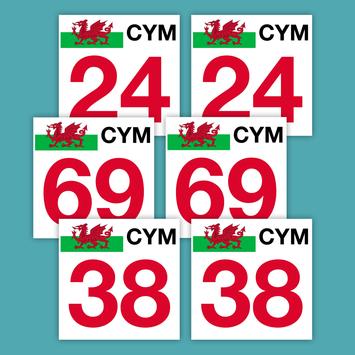 CYM Door Numbers (Pair)